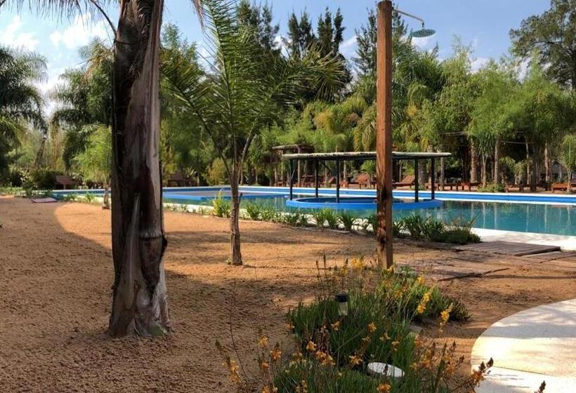 Номер Стандарт Трехместный, La Delfina Island Resort