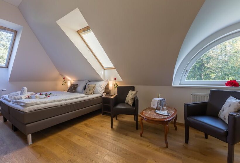 수피리어 룸, Wellness & Spa Hotel Villa Regenhart