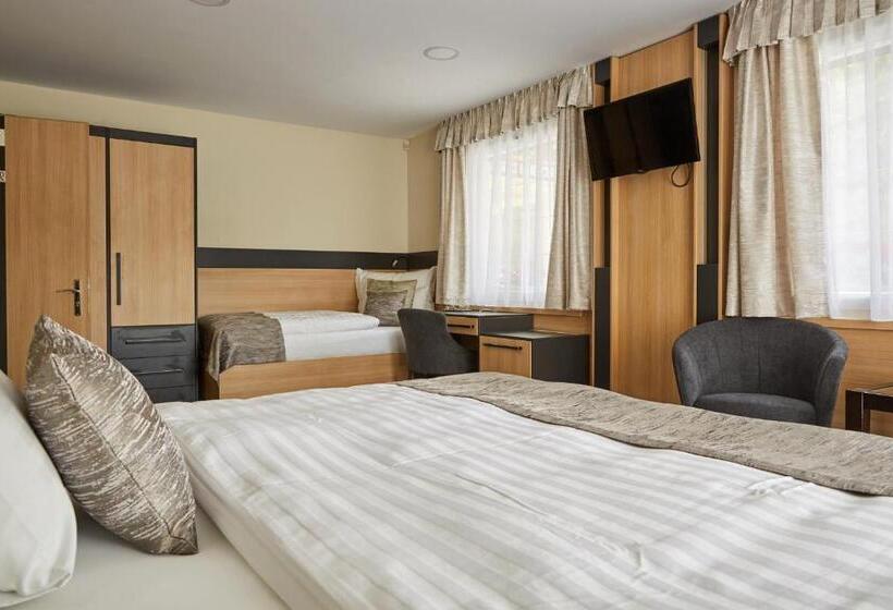Habitación Estándar Adaptada para Discapacitados, Gold House Pension
