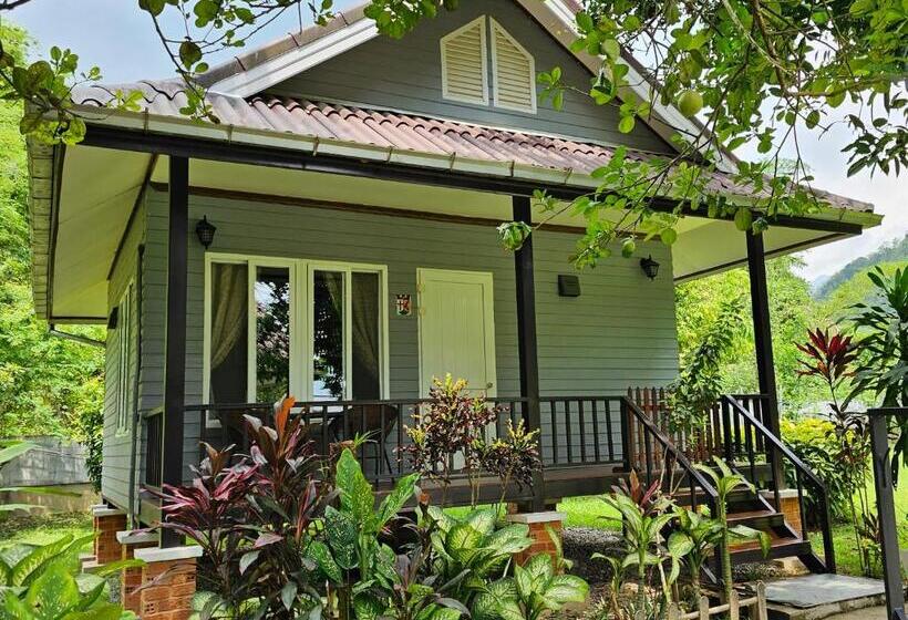 Бунгало Стандарт с Балконом, Bearlin Bungalow