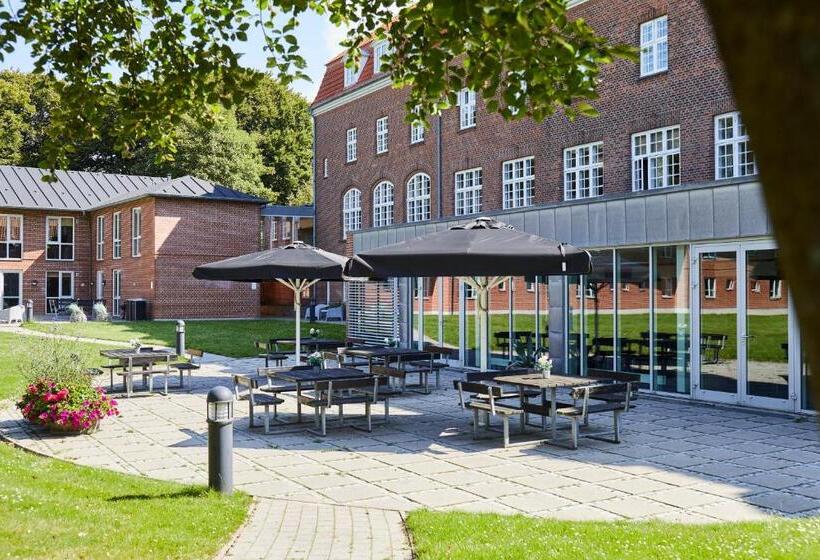 Номер Стандарт Трехместный, Danhostel Esbjerg