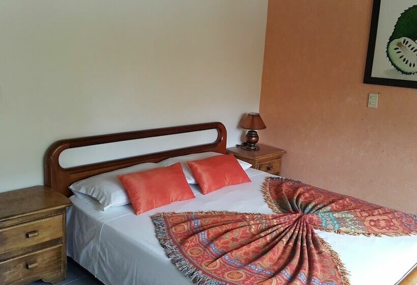اتاق استاندارد, La Casa Amarela