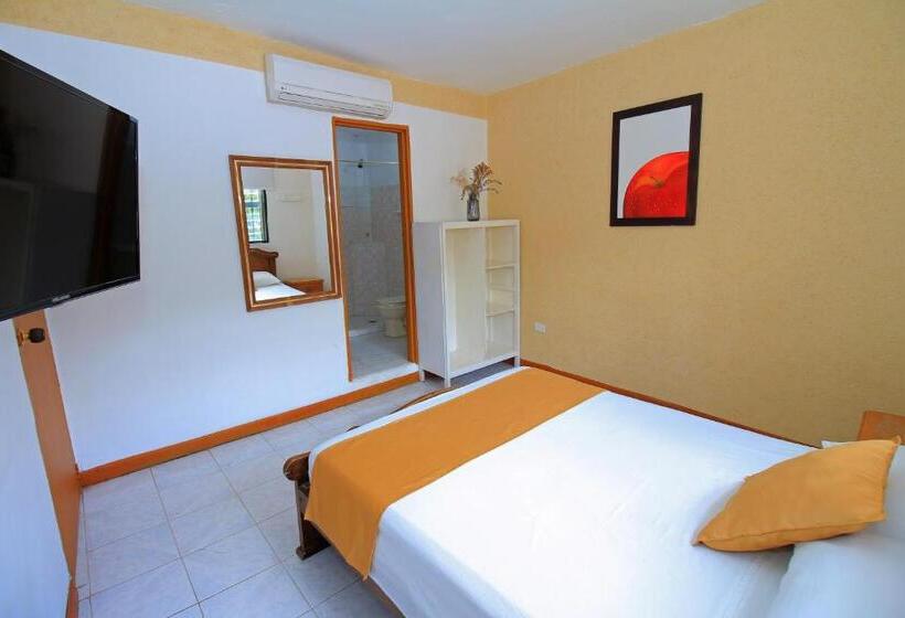 اتاق استاندارد, La Casa Amarela