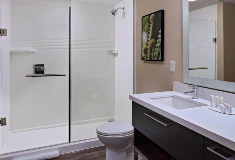 Студия Стандарт, Towneplace Suites By Marriott Tacoma Lakewood