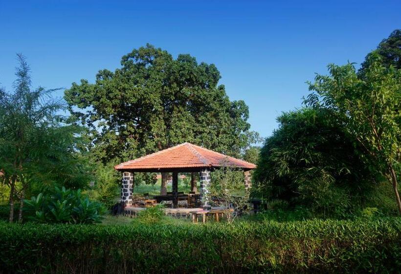 Семейный Номер Deluxe, Aranyak Resort