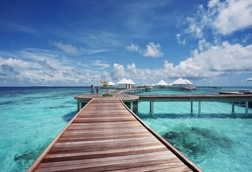 ویلای 1 خوابه, Diamonds Thudufushi Maldives Resort & Spa