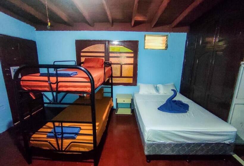 4인용 스탠다드 룸, Cocohouse Leon