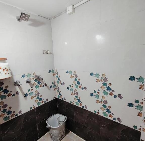 Номер Стандарт с Балконом, Krishnaalay Guest House