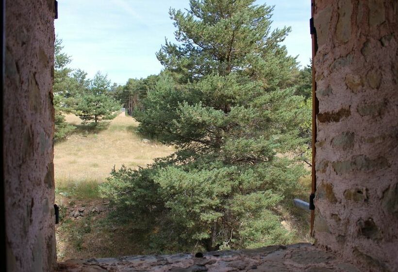 Номер Стандарт, La Bastide Du Logis Du Pin