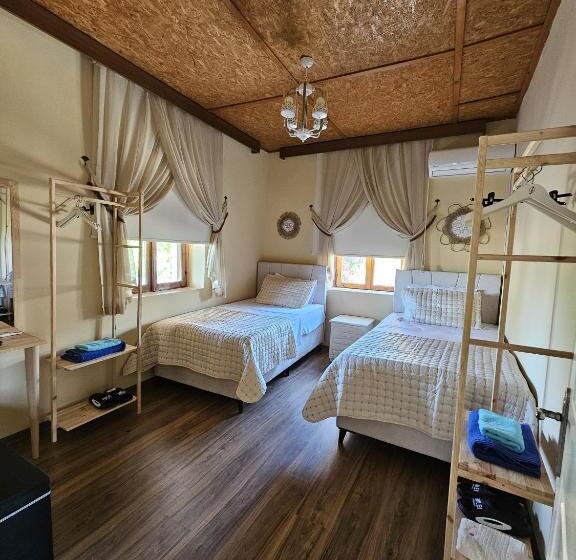 اتاق استاندارد با سرویس بهداشتی مشترک, Burcu Guest Home