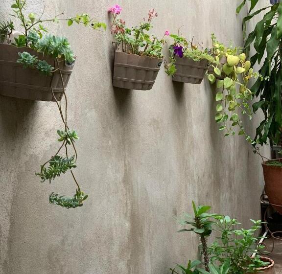 اتاق استاندارد, Hostal Familiar Ulua