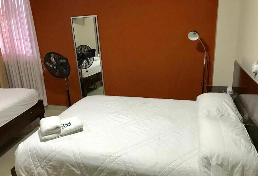 اتاق استاندارد, Briston