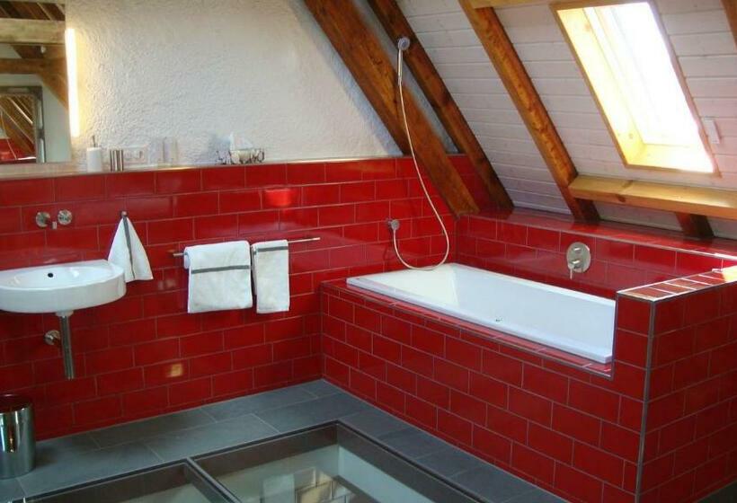 غرفة قياسية, B&b Laupenring, Basel