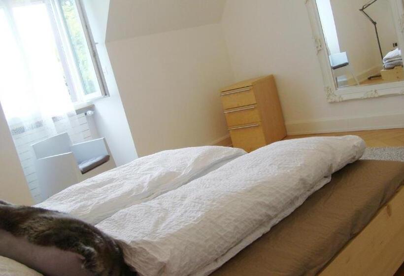 غرفة قياسية حمام مشترك, B&b Laupenring, Basel