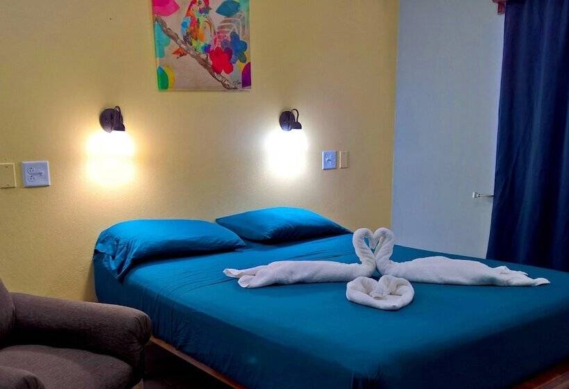 اتاق لوکس, Maya Bella Downtown
