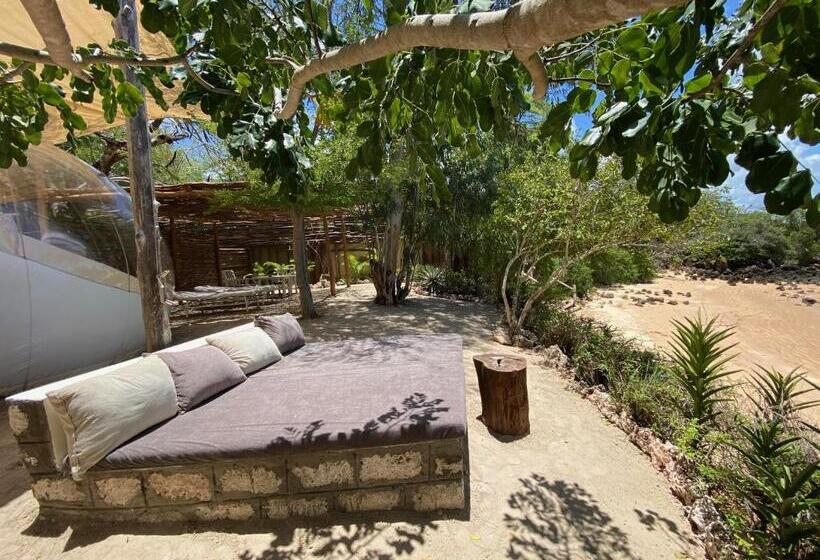 سوئیت با چشم‌انداز, Rock And Sea Resort