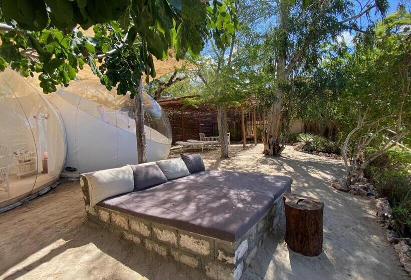 سوئیت با چشم‌انداز, Rock And Sea Resort
