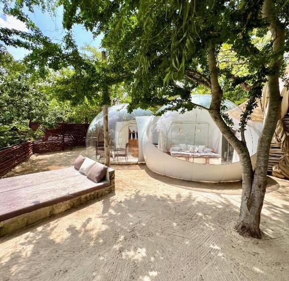 سوئیت با چشم‌انداز, Rock And Sea Resort
