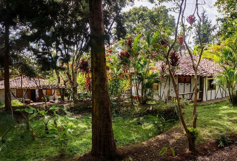 اتاق استاندارد, La Casa De Francois