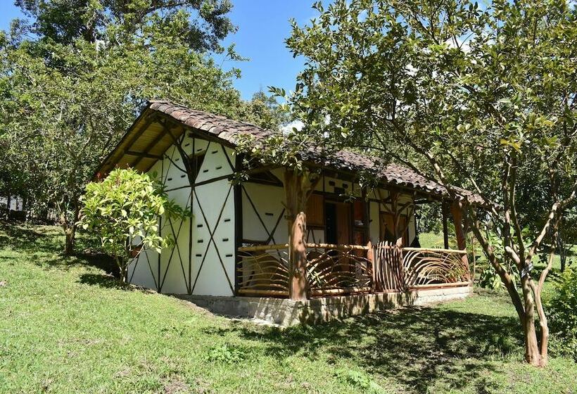 اتاق استاندارد, La Casa De Francois