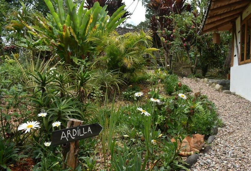 اتاق استاندارد, La Casa De Francois