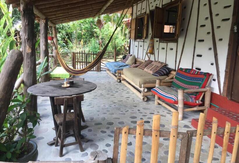 اتاق استاندارد, La Casa De Francois