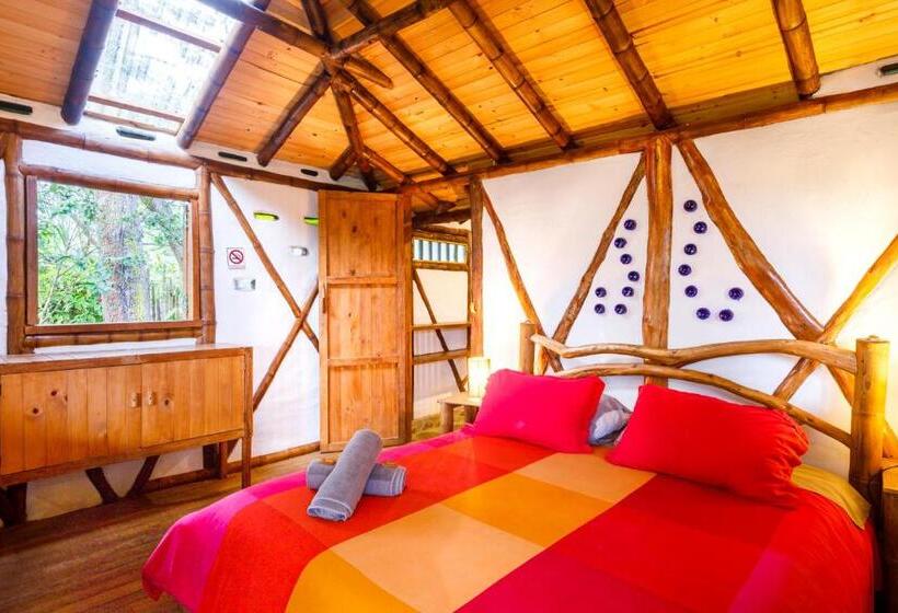 اتاق استاندارد با تراس, La Casa De Francois