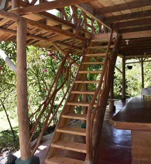 تختخواب در اتاق مشترک, La Casa De Francois