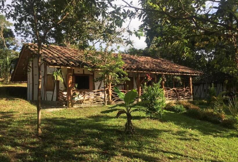 اتاق استاندارد سه نفره, La Casa De Francois