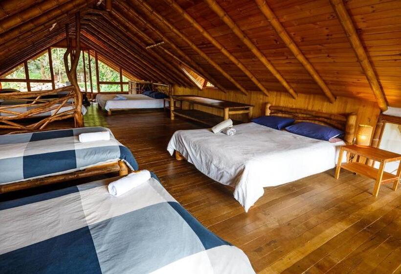 تختخواب در اتاق مشترک, La Casa De Francois