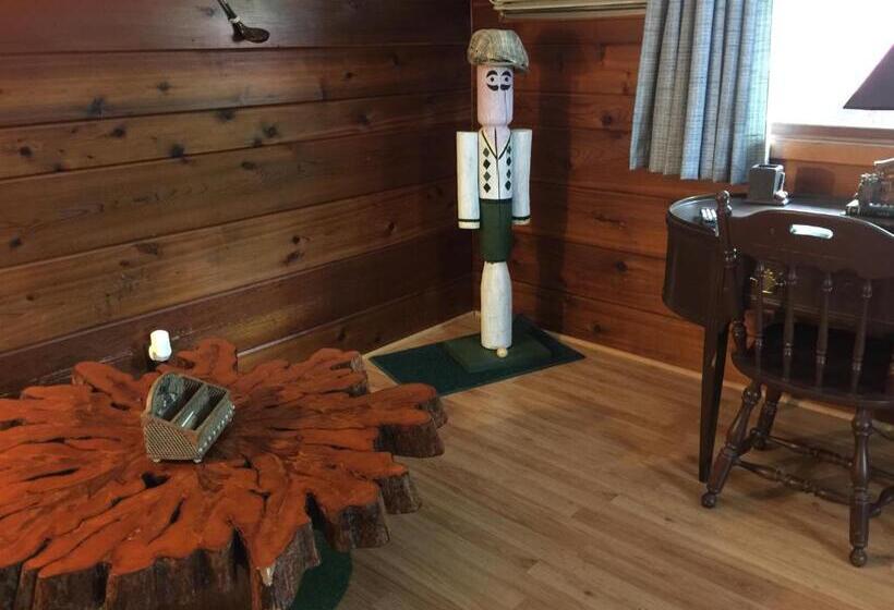 חדר אקונומי, Chateau Lodge