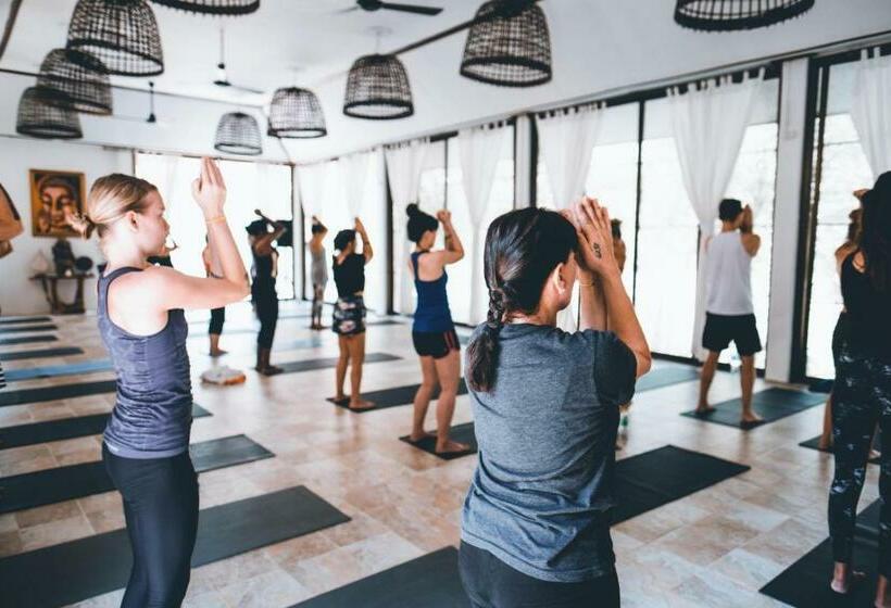带大床的套房, Wonderland Healing Center