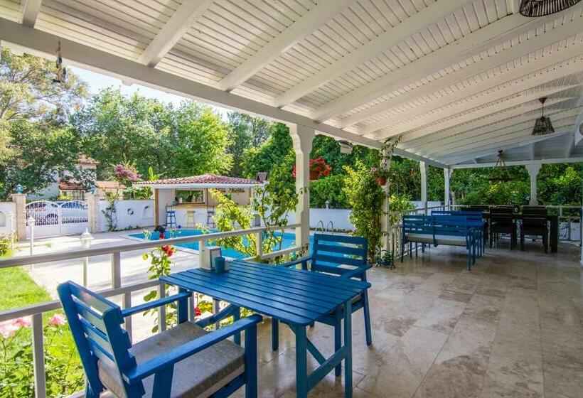 Номер Economy, Calypso Cozy Suites