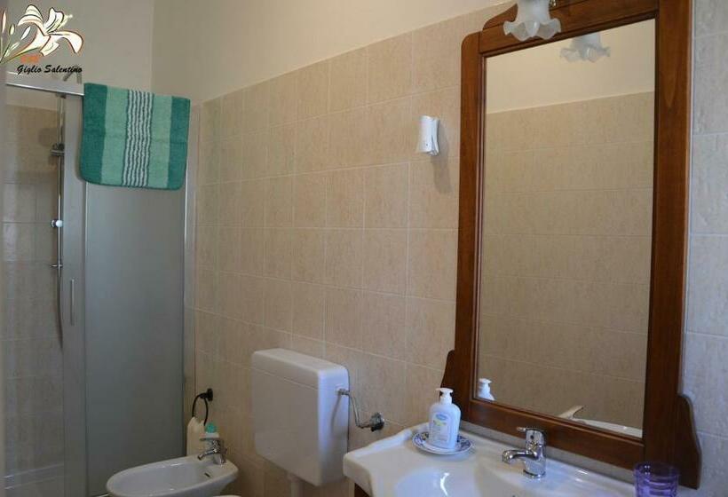 Номер Стандарт, B&b Giglio Marino