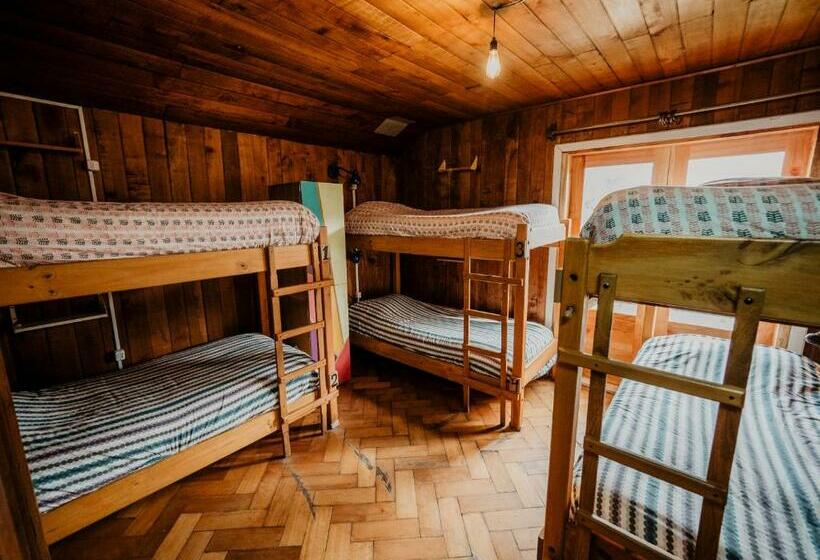 تختخواب در اتاق مشترک, Chili Kiwi Lakefront Backpackers