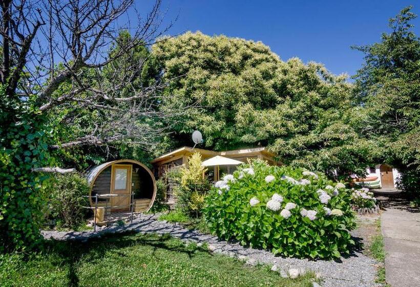 اتاق استاندارد با سرویس بهداشتی مشترک, Chili Kiwi Lakefront Backpackers