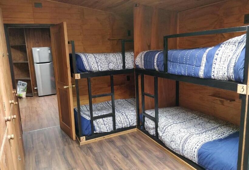 تختخواب در اتاق مشترک, Chili Kiwi Lakefront Backpackers