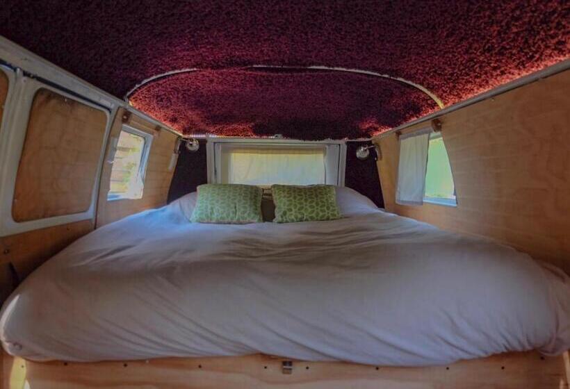 اتاق استاندارد, Chili Kiwi Lakefront Backpackers