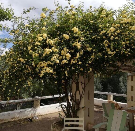 Camera Standard, B&b Giovannarolla Green House
