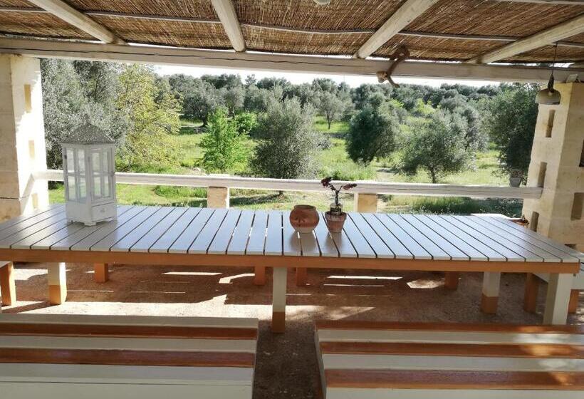 Camera Standard, B&b Giovannarolla Green House