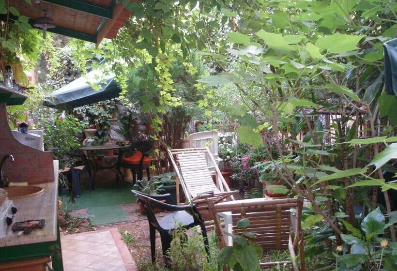 اتاق استاندارد, The Garden