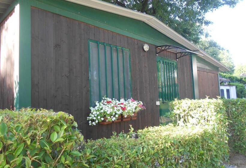 Номер Стандарт, B&b La Quercia