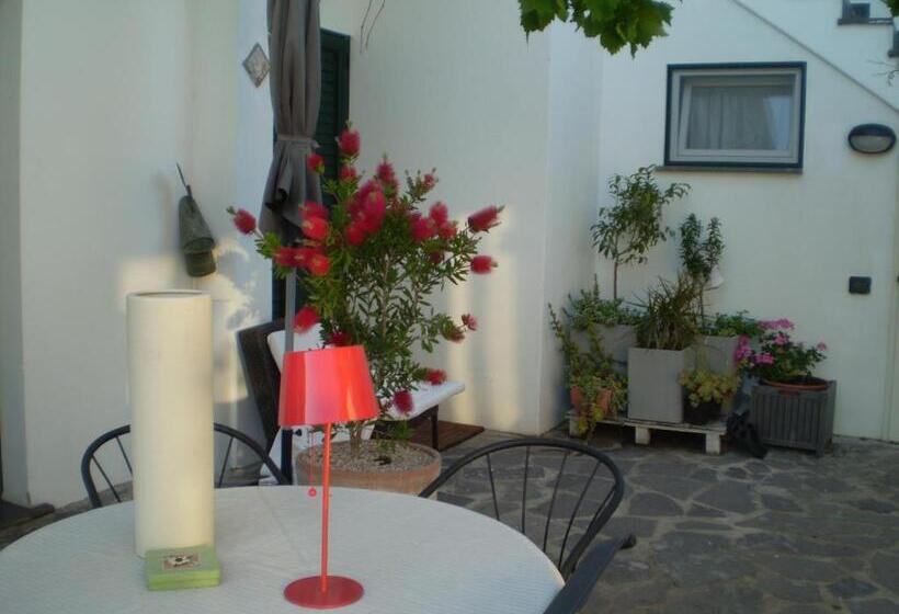 豪华园景房, Il Giardino Di Emilio