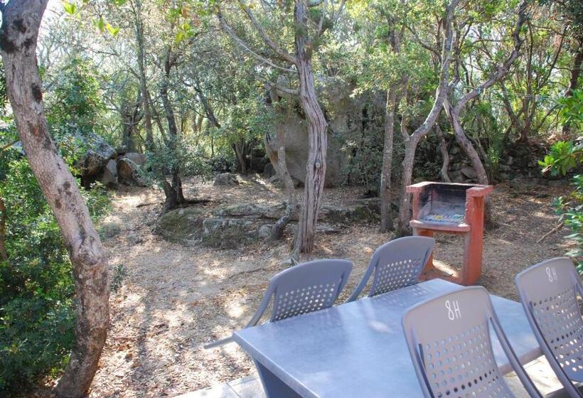 آپارتمان راحتی 1 خوابه, Residence Ribellinu