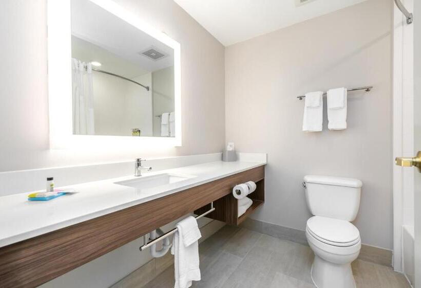 Люкс Кровать Кинг, Holiday Inn Express Hotel & Suites Lagrange I 85, An Ihg