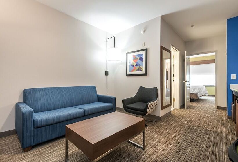 Люкс Адаптированный для Инвалидов, Holiday Inn Express Hotel & Suites Lagrange I 85, An Ihg