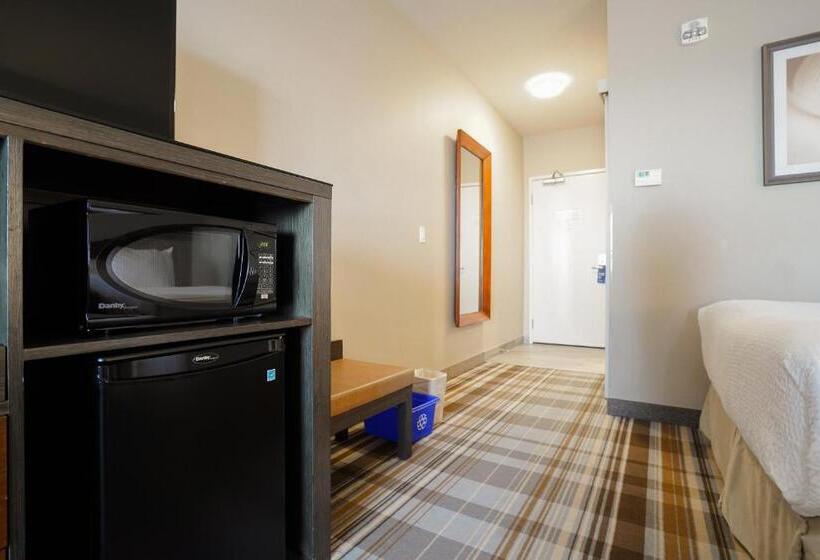 キングサイズベッドのスタンダードルーム, Fairfield Inn & Suites By Marriott Airdrie