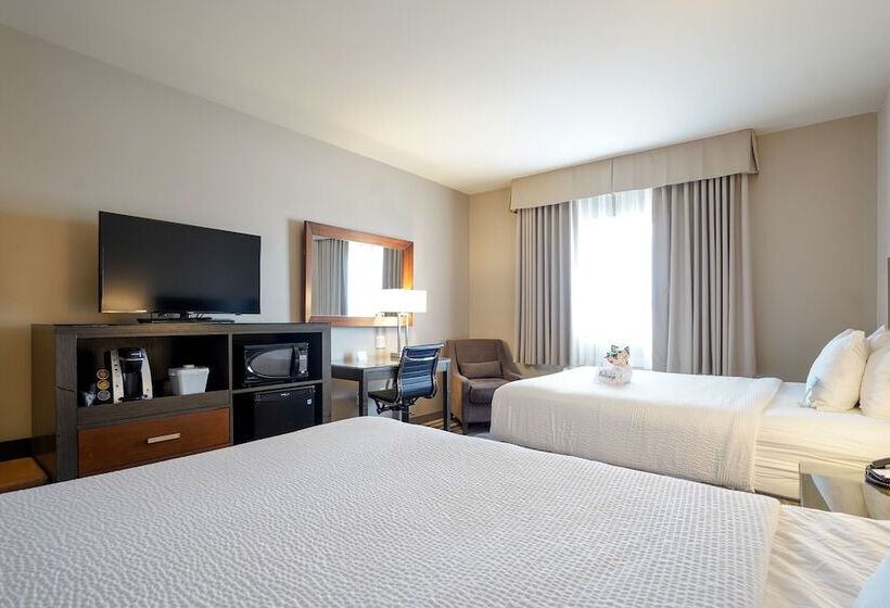 スタンダードルーム, Fairfield Inn & Suites By Marriott Airdrie