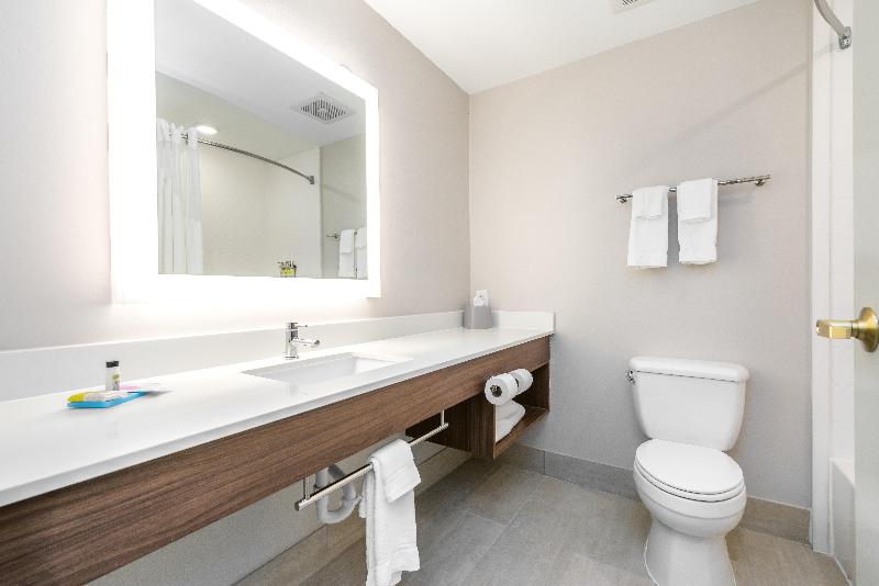 Номер Стандарт Адаптированный для Инвалидов, Holiday Inn Express Hotel & Suites Lagrange I 85, An Ihg