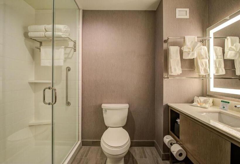 Люкс, Holiday Inn Hotel & Suites   Houston West   Katy Mills, An Ihg